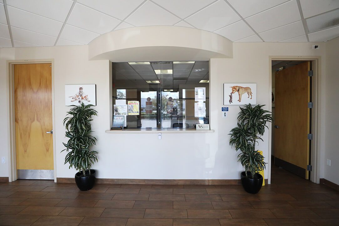 A bright spacious lobby has a tree on either side of the front desk.