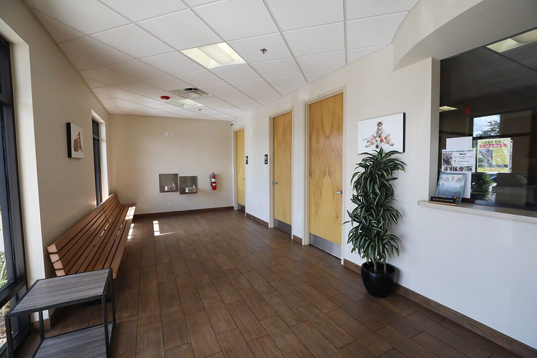 A bright spacious lobby has a wooden bench on one side and bathrooms on the other side.