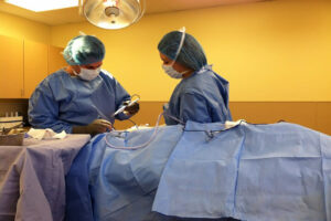 Two surgeons dressed in blue gowns operate on a patient on a table with a blue cloth.