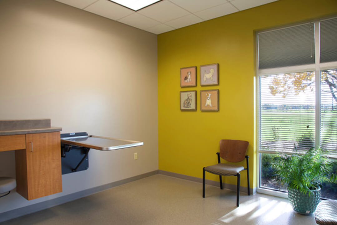 An exam room has one bright yellow wall.