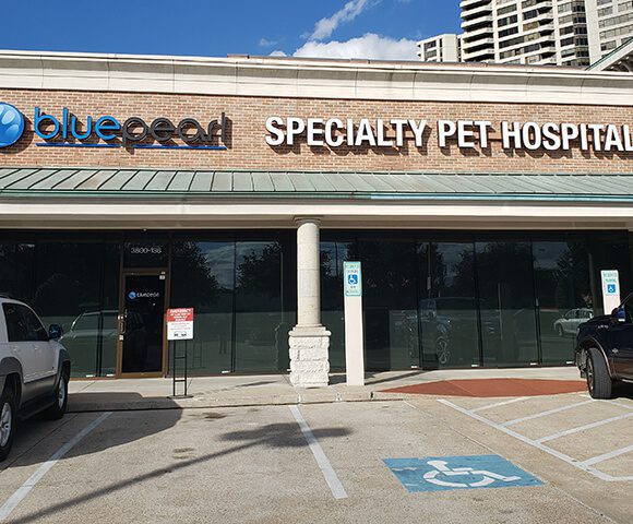 BluePearl Pet Hospital | Greenway Plaza Houston, TX