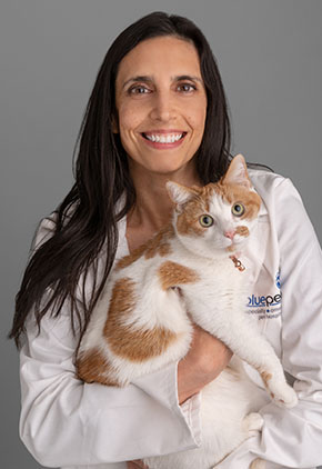 Dr. Ashley Ayoob is Board Certified in Veterinary Internal Medicine and Board Certified in Veterinary Emergency & Critical Care