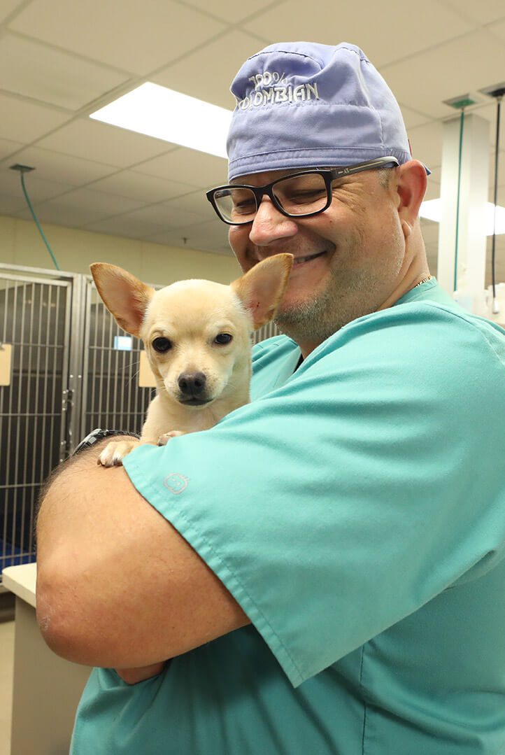 A smiling veterinary technician looks down at the dog in his arms.