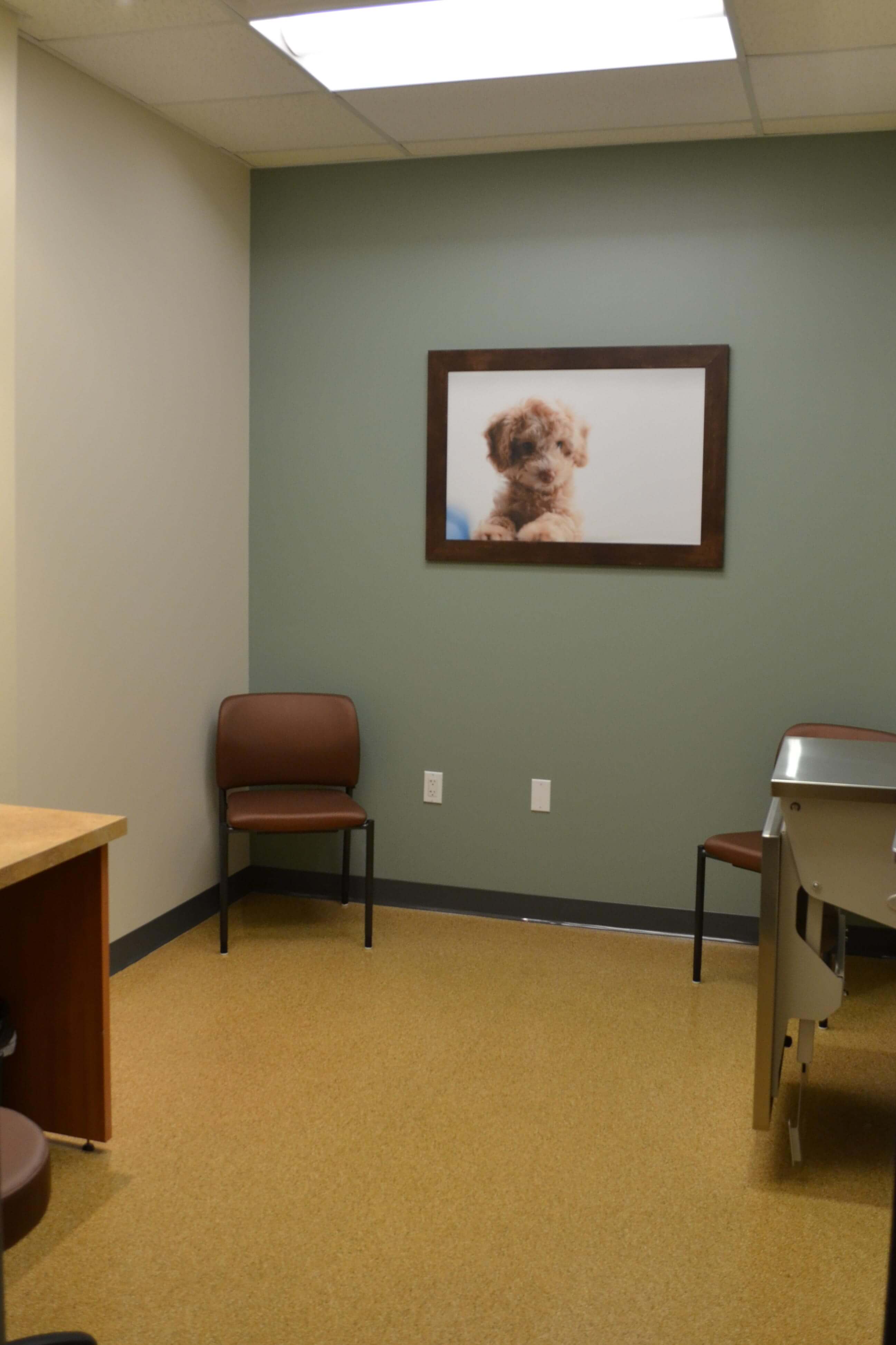 Exam room has chairs, counter, and a photo on the wall.