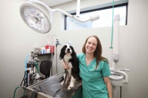 A smiling vet technician stands next to a black and white dog on a table.