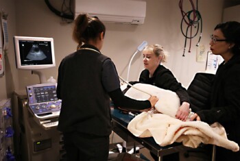 A veterinary team of three perform an ultrasound on a white dog.