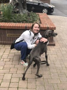 A woman kneals next to her Weimaraner and hugs her.