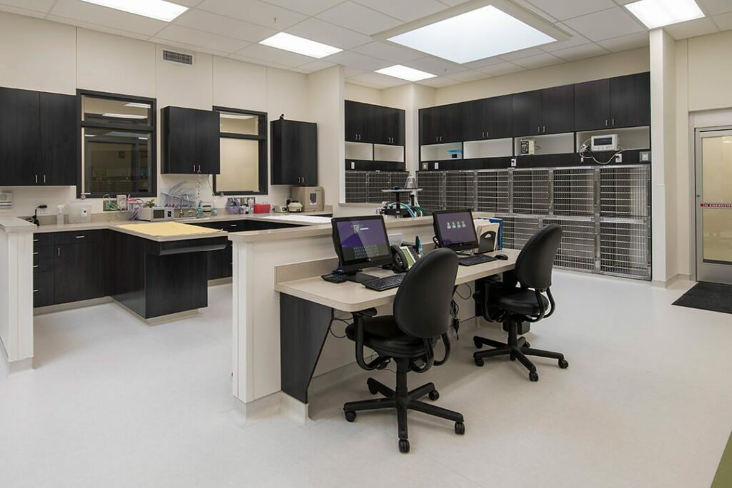 A large spacious hospital treatment area has cages on one side and multiple desks in the middle.