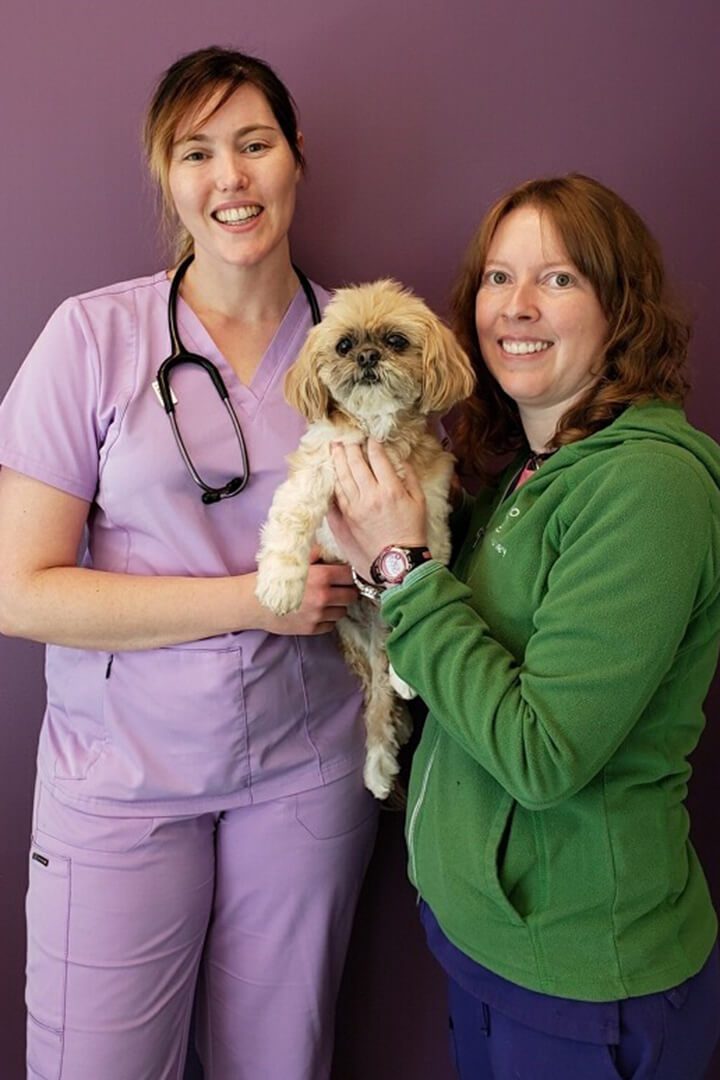 Two veterinarians stand while holding a small dog.