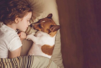 Young girl with red hair sleeps peacefully next to small dog.