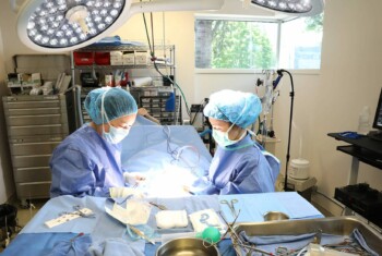 Two surgeons dressed in blue gowns and caps work on a patient on a table.