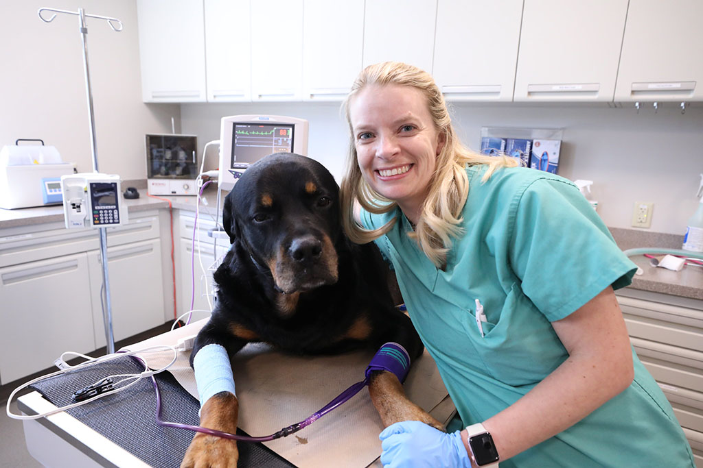 Smiling clinician with a patient