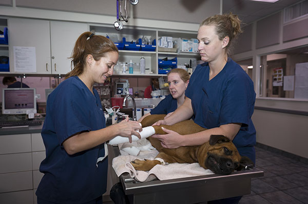 Clinicians helping a patient