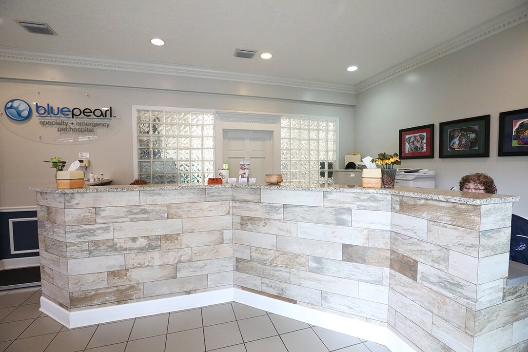 A modern white brick front desk is what visitors see first when they enter.