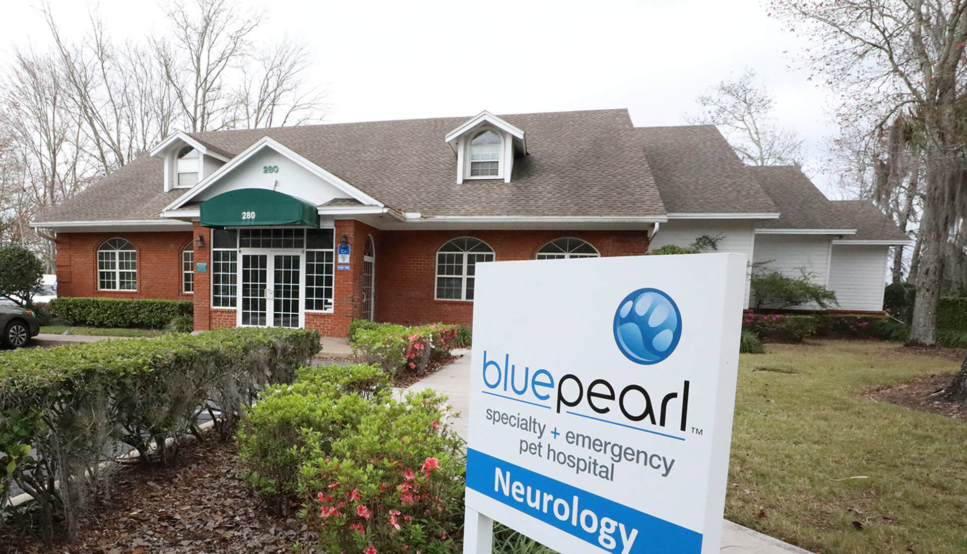 BluePearl Pet Neurology | Orange Park, FL | BluePearl Pet Hospital