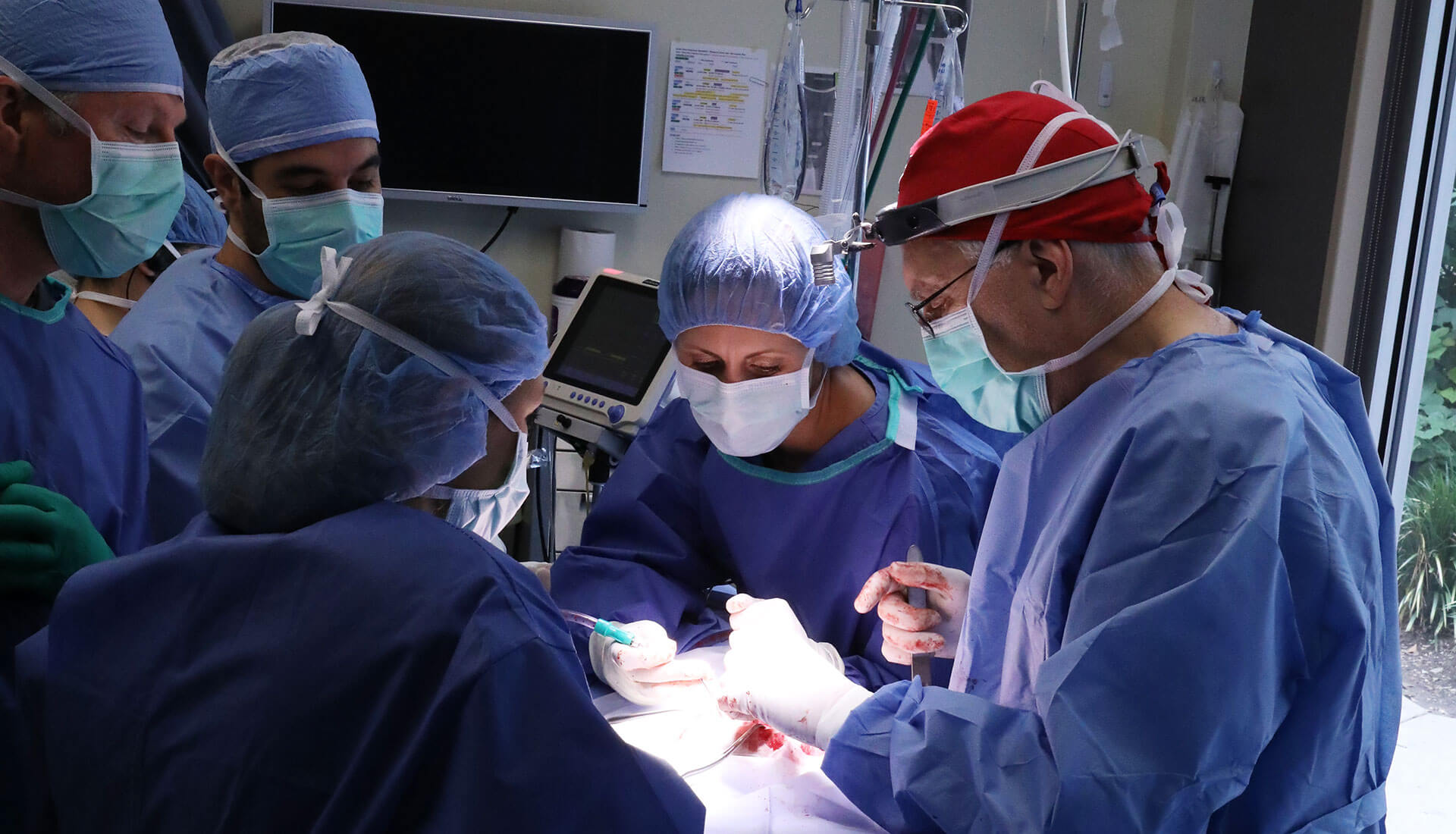 A team of surgeons in blue gowns operate on a pet under bright lights.