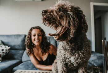 Woman sits behind curly-haired dog smiling while the dog yawns
