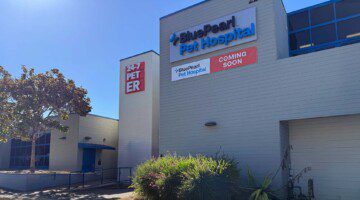 An external shot of the BluePearl Pet Hospital in Monterey, California, from the parking lot.