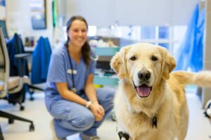 hope vet specialists