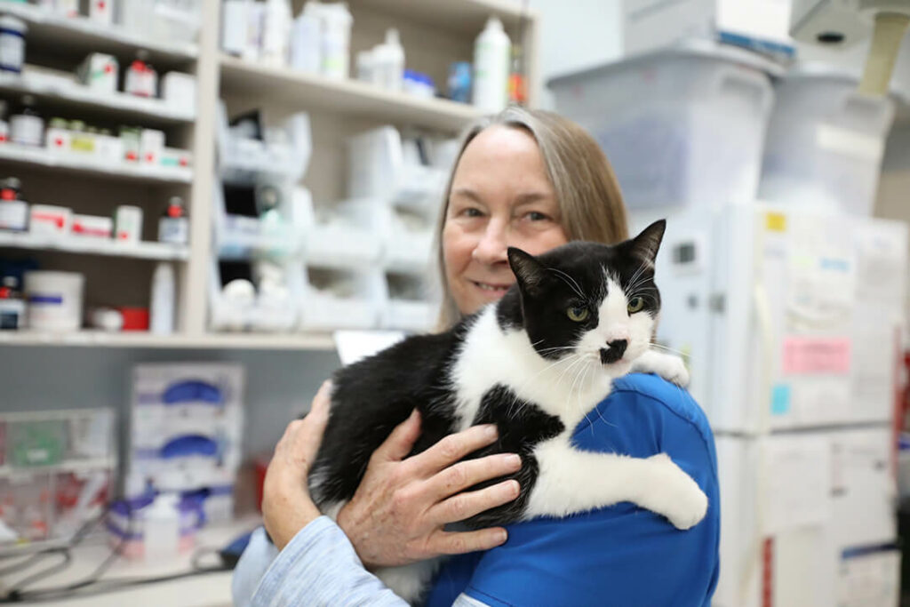 A technician holds a black and white cat in her arms.