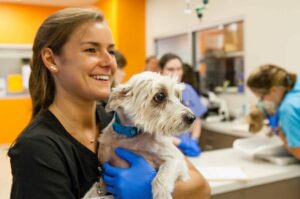 pets at home vets out of hours