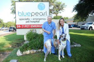 Two veterinarians stand outside by a BluePearl sign with a patient.