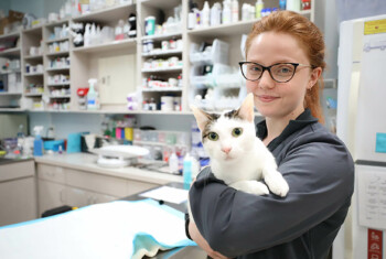 A vet tech holds a white cat in the hospital.