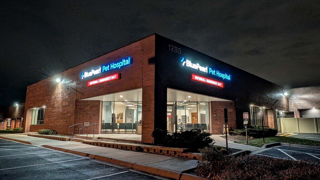 Entrance to pet hospital is at the corner of a brick building with signs on either side.