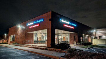 Entrance to pet hospital is at the corner of a brick building with signs on either side.