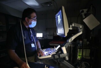 A veterinarian looks at a glowing screen in a dark room as he performs an ultrasound.