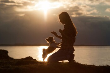 A woman kneels by a small dog by the water while the sun sets behind them.