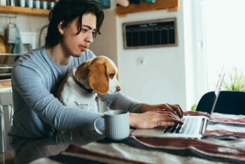 A man works on a laptop while sitting at a table with a beagle in his lap