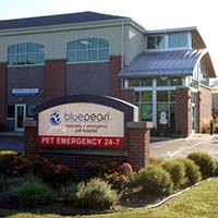 BluePearl Pet Hospital | Glendale, WI | Emergency Vet