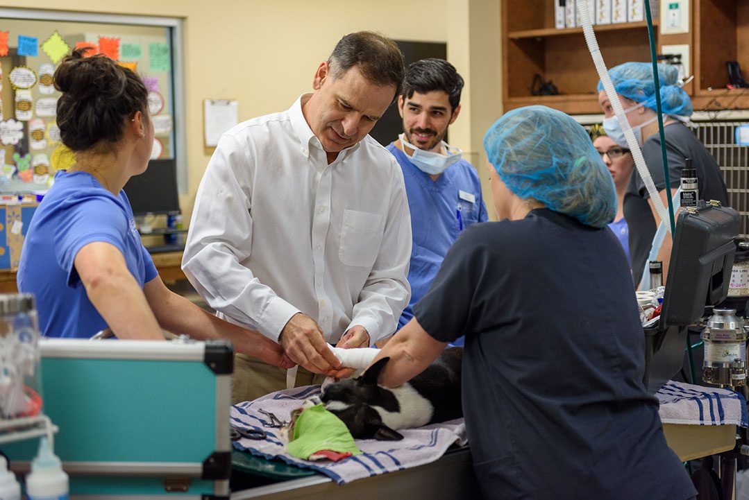 A doctor and a team of technicians treats a patient.