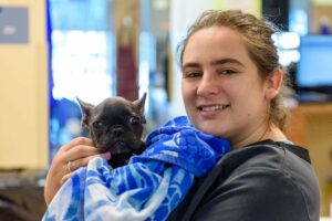 A technician holds a puppy in a blue towel.