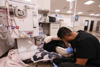 A vet comforts a dog receiving a blood transfusion