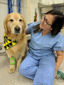 Vet tech with dog