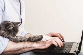 A cat stretches its paws over a human's hands, which are typing on a laptop