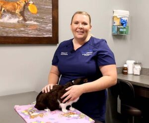 A vet tech smiles with a cat in an exam room.