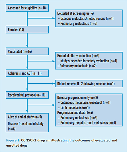 what is the survival rate of osteosarcoma in dogs