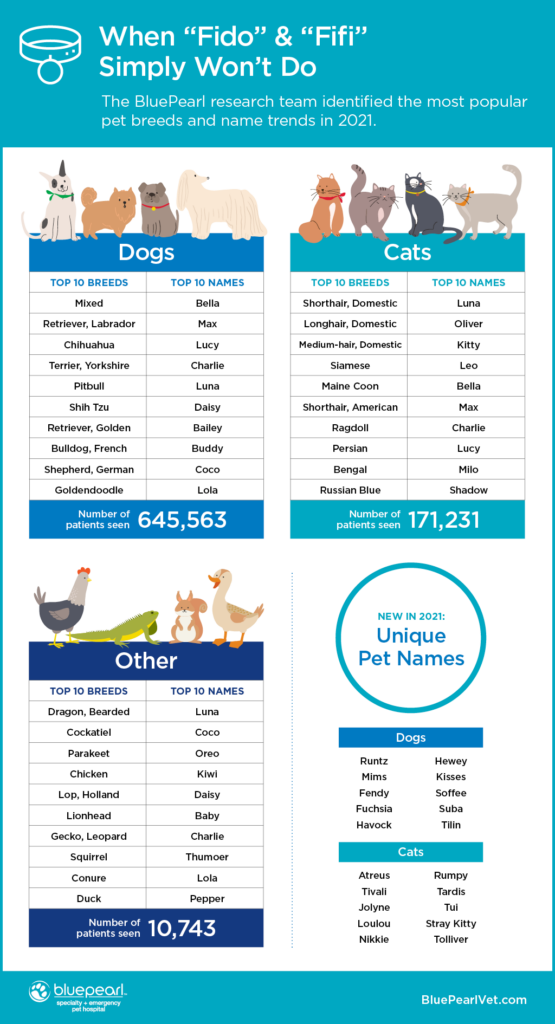 2021 Pet Health Trends Report - BluePearl Pet Hospital