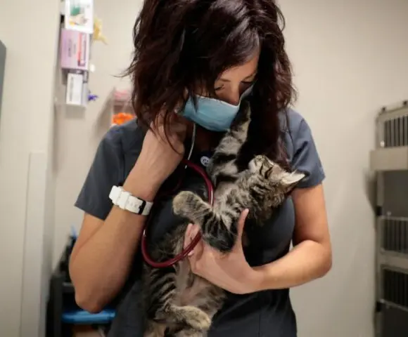 Technician with a small kitten.