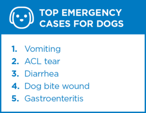Top emergency cases for dogs