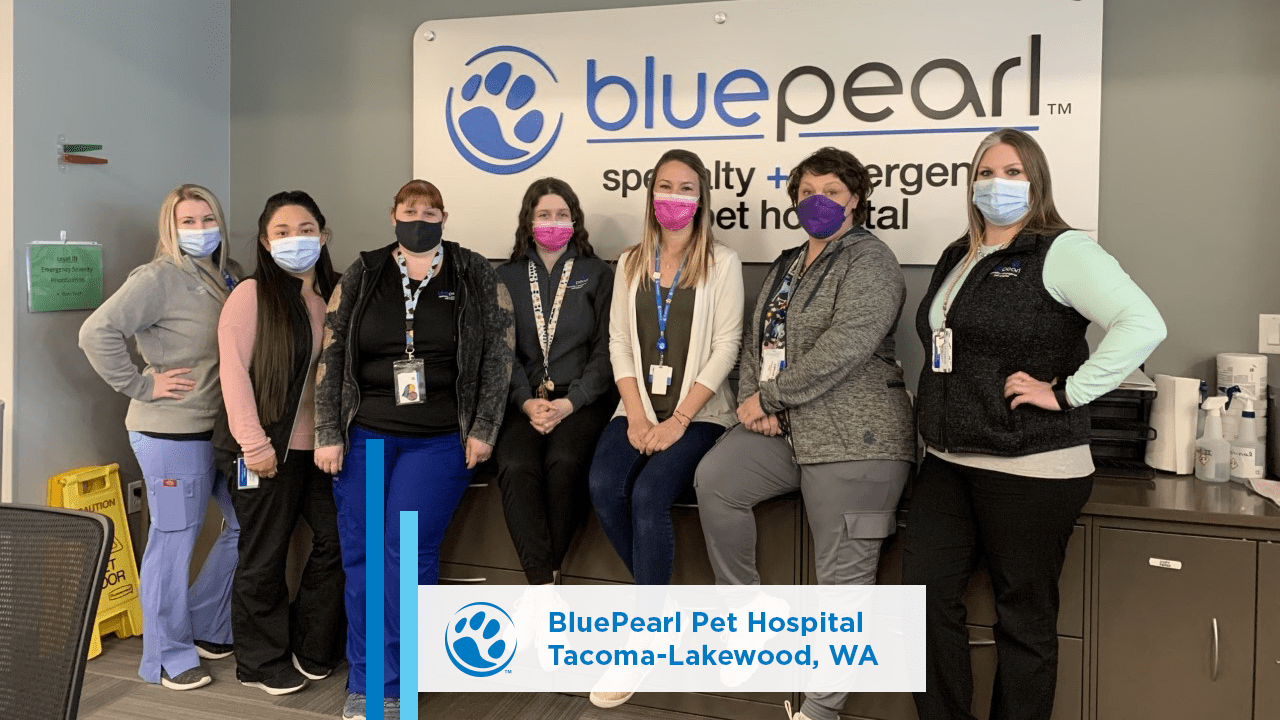 BluePearl Pet Hospitals Across the Nation Celebrate Veterinary