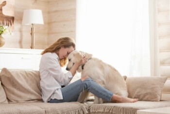 Woman lovingly holds dogs head on couch