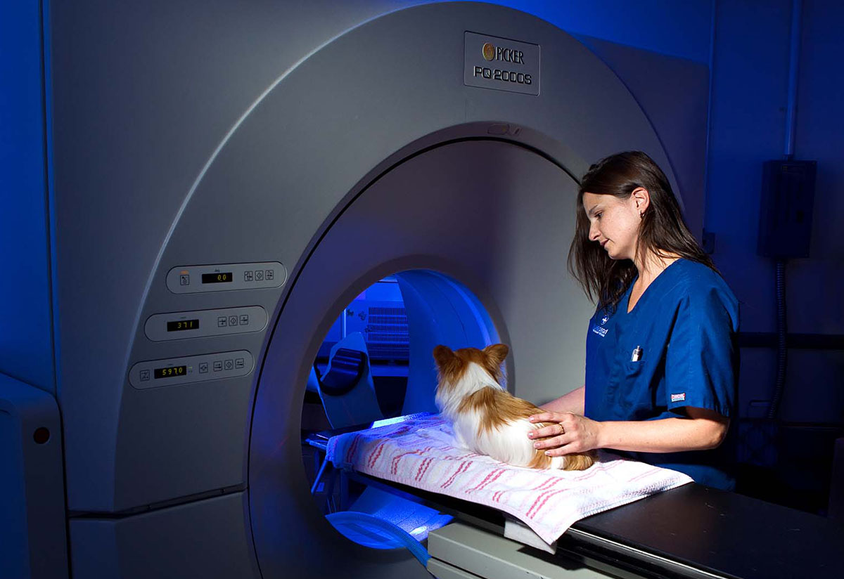 A patient is prepared for a CT scan