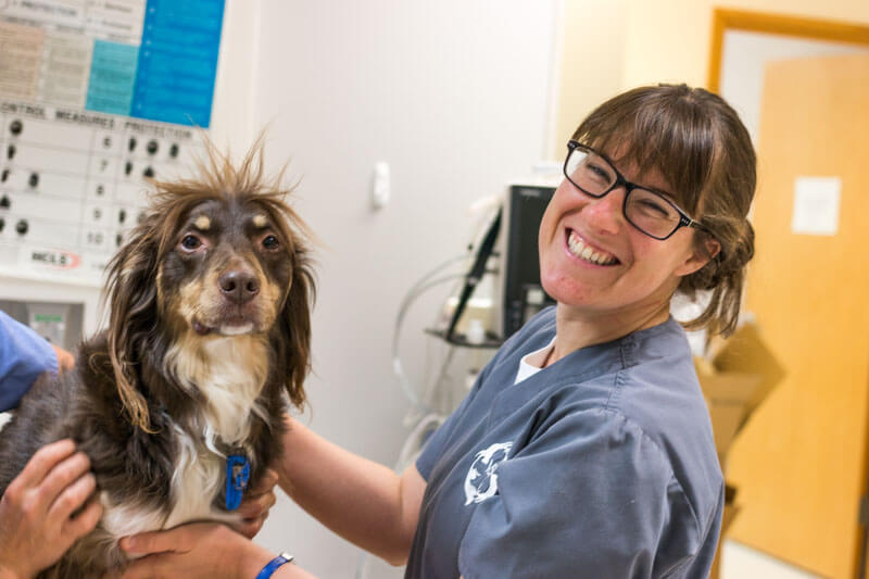 Veterinary Surgical Center of Portland | Portland, OR | BluePearl |  Specialty Animal Hospital