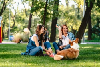 Two women sit in park, while one throws a ball for her dog.