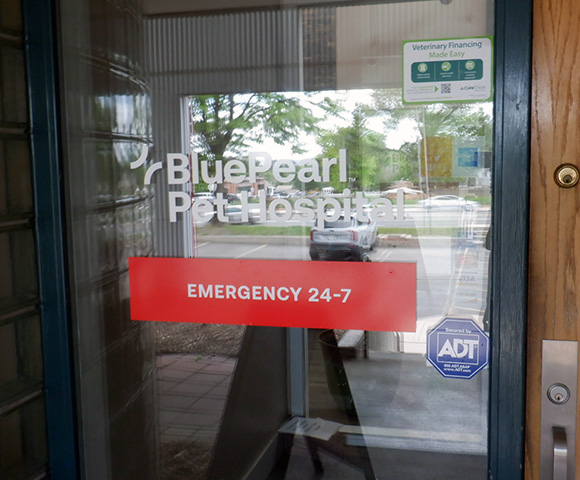BluePearl Pet Hospital is an emergency veterinary hospital located in Lakewood, CO, outside of Denver. The front door of the hospital is pictured.