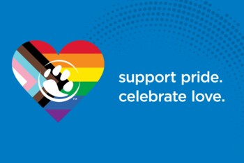 BluePearl supports pride and celebrates love.